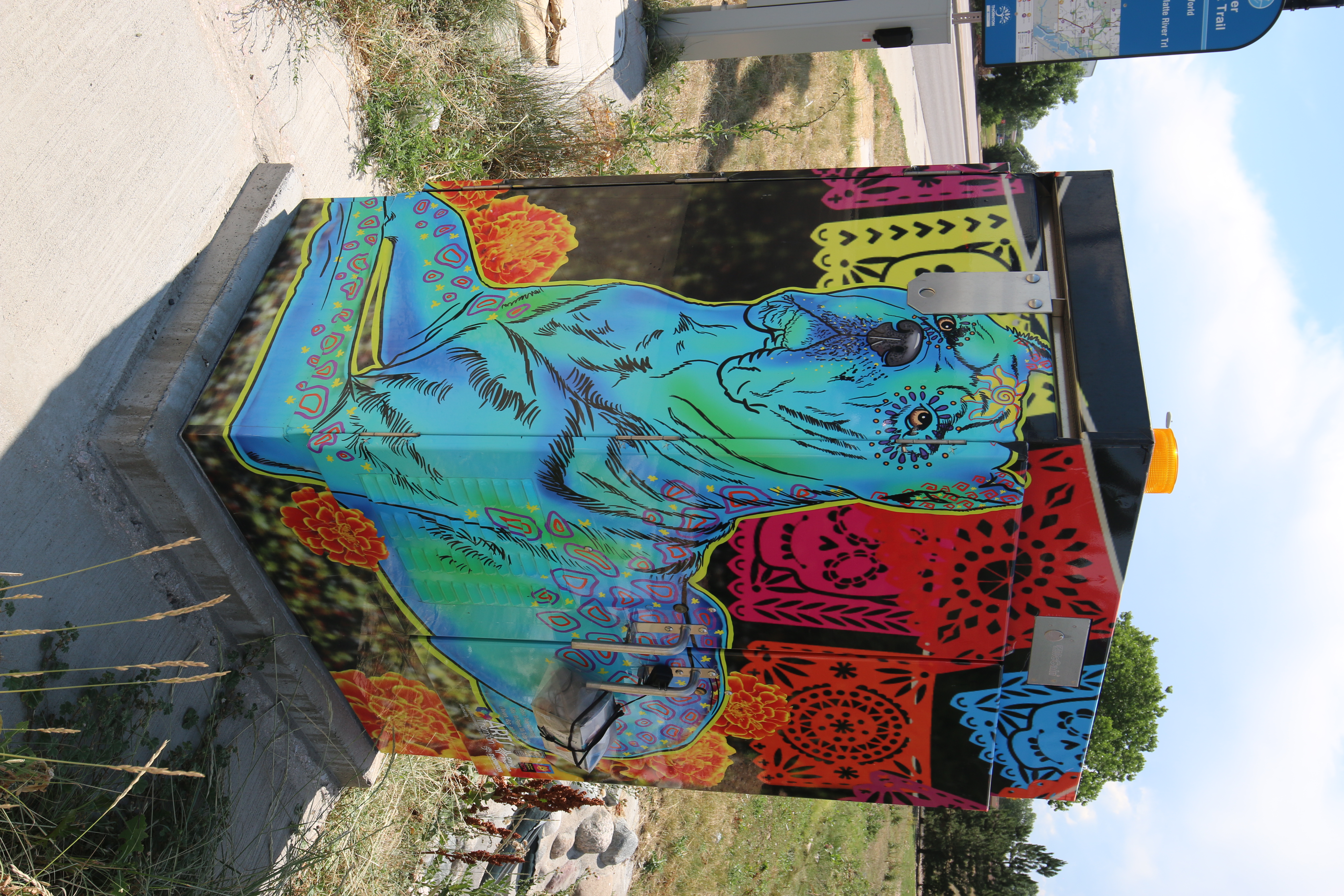 Dog and Cinco De Mayo Decorations